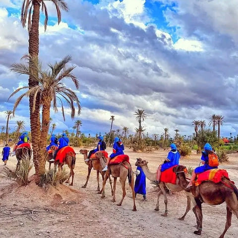 balade chameau excursion de dos dromadaire a la palmeraie desert marrakech